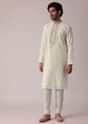 Elegant Embroidered Festive Kurta Set For Men