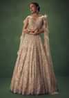 Gold Net Lehenga Set With Choker Dupatta With Feathers