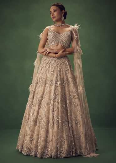Gold Net Lehenga Set With Choker Dupatta With Feathers