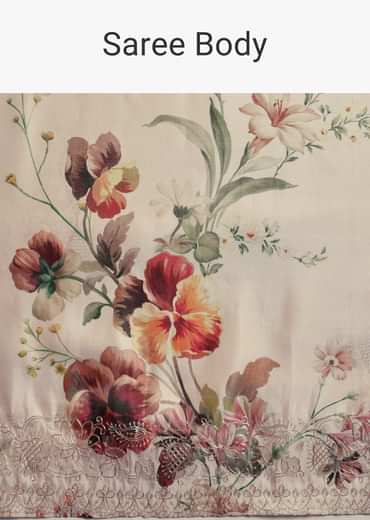 Off White Tissue Muslin Printed Saree With Pitta Work