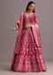 Dark Pink Embroidered Choli With Banarasi Weave Lehenga And Dupatta
