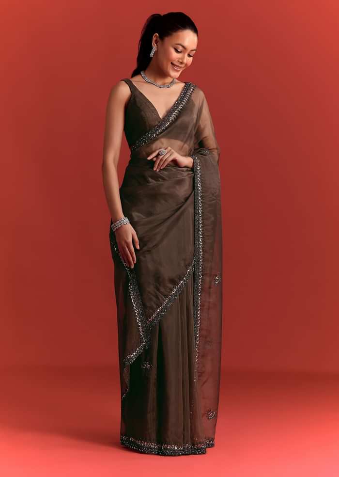 Brown Tissue Saree With Cutdana And Sequin Work