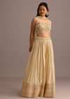 Off White Embroidered Croptop With Banarasi Weave Palazzo And Choker Dupatta