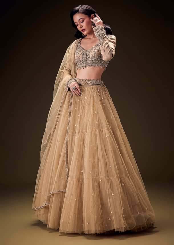 Sand Beige Net Hand Embroidered Pearl Work Lehenga Set