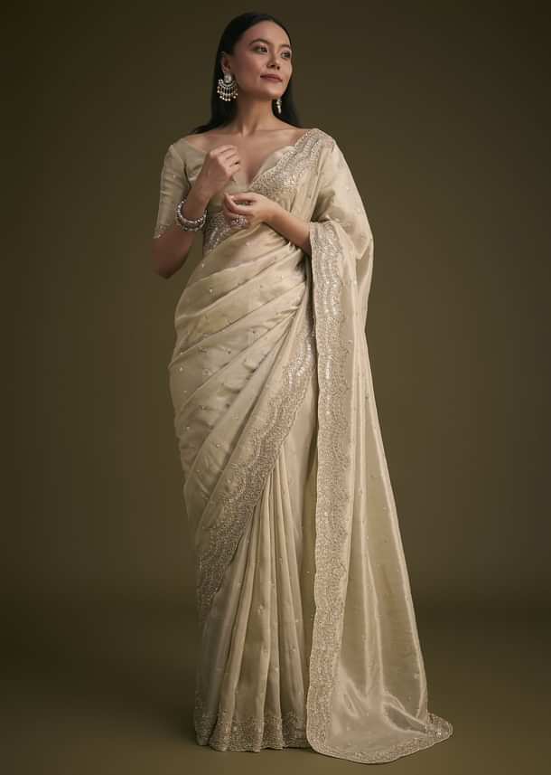 Silver Tissue Saree With Embroidered Border Silver Tissue Saree With Embroidered Border