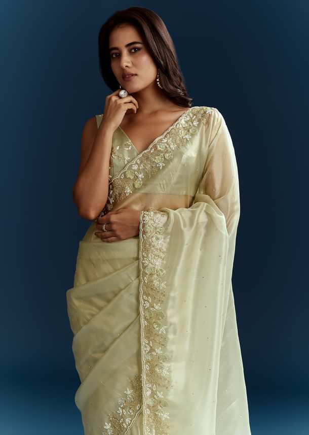Light Pista Organza Saree With Floral Cutdana And Stone Embroidery Light Pista Organza Saree With Floral Cutdana And Stone Embroidery