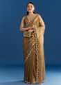 Copper Brown Organza Tissue Saree With Beaded Border