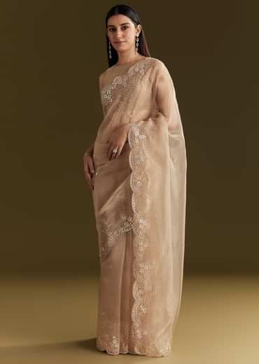 Beige Glass Tissue Embroidered Saree With Scallop Border