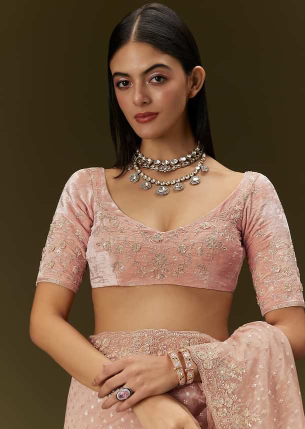 Peach Banarasi Tissue Saree With Velvet Embroidered Blouse