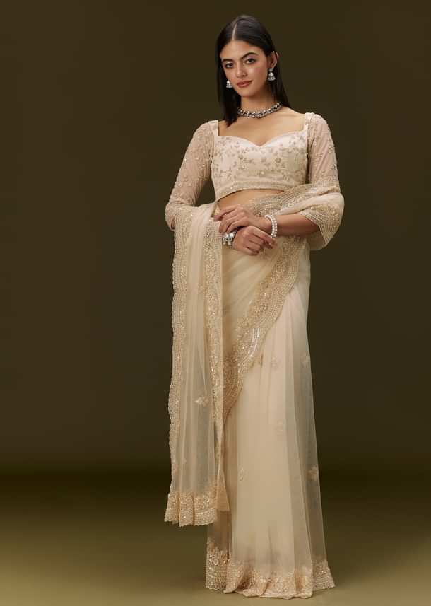 Beige Net Saree With Heavy All Over Embroidery