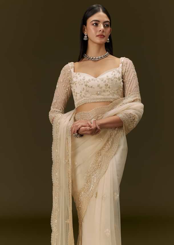 Beige Net Saree With Heavy All Over Embroidery