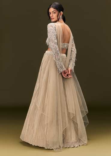 Beige Net Embroidered Blouse With Ruched Lehenga And Choker Dupatta