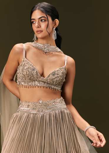 Gold Embroidered Sweetheart Neck Blouse With Lehenga And Choker Dupatta