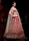 Persian Red Lehenga Choli In Velvet With Mughal Jaali And Floral Hand Embroidered Kali