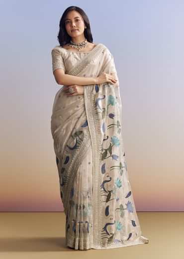 Silver Tissue Saree With Intricate Resham Motifs And Beaded Border Embroidery