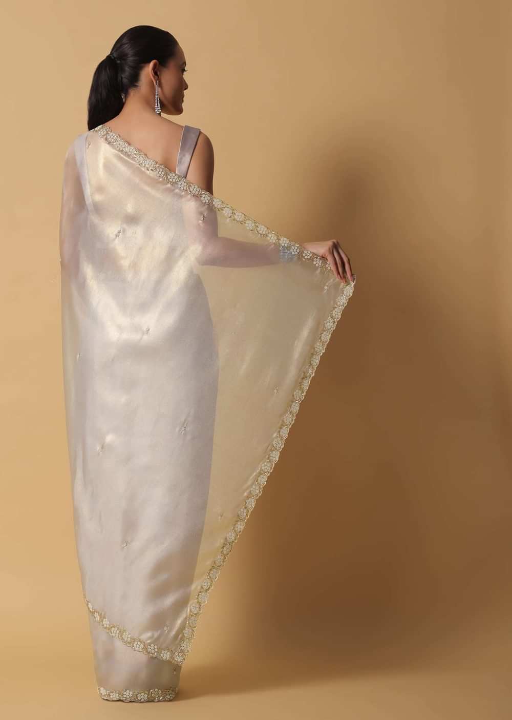 Silver Grey Foil Saree In Tissue With Cut Dana Embroidered Borders
