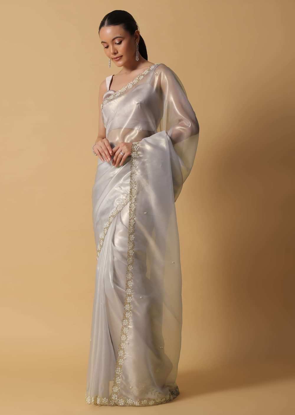 Silver Grey Foil Saree In Tissue With Cut Dana Embroidered Borders