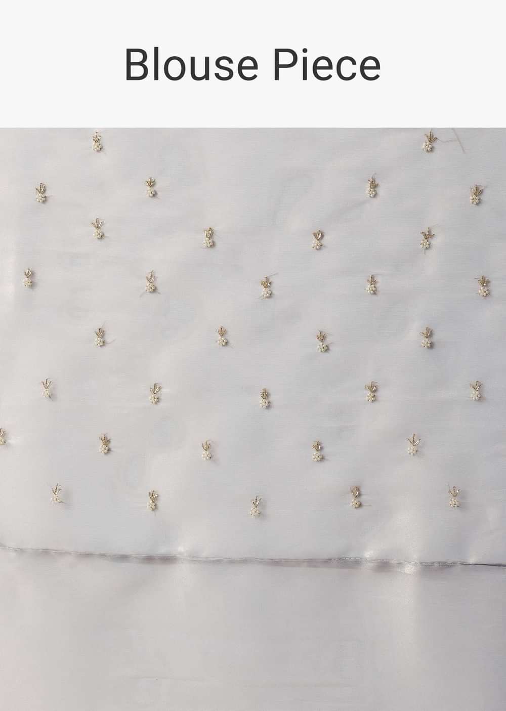 Silver Grey Foil Saree In Tissue With Cut Dana Embroidered Borders