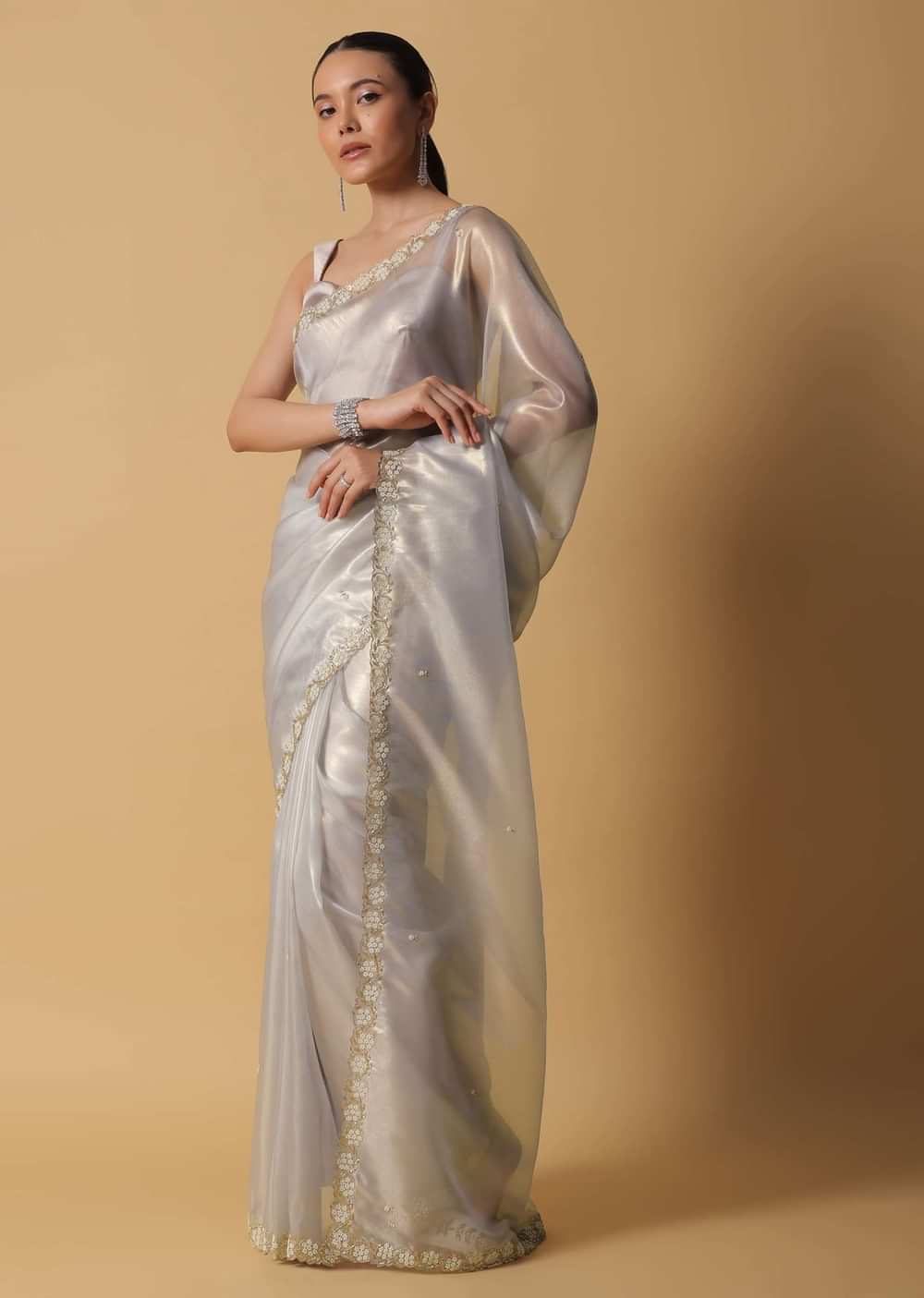 Silver Grey Foil Saree In Tissue With Cut Dana Embroidered Borders