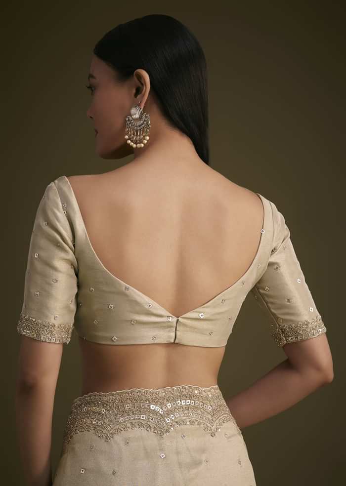 Silver Tissue Saree With Embroidered Border