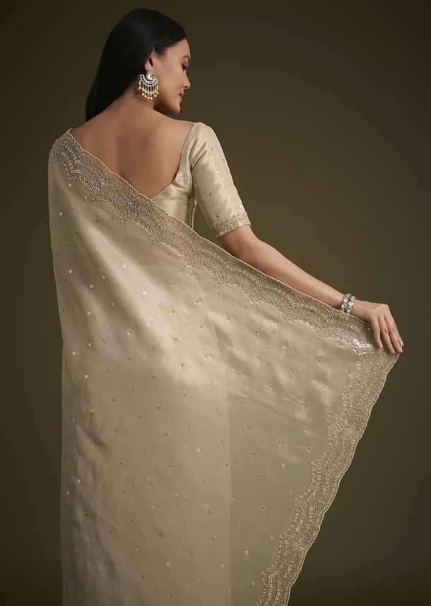 Silver Tissue Saree With Embroidered Border Silver Tissue Saree With Embroidered Border