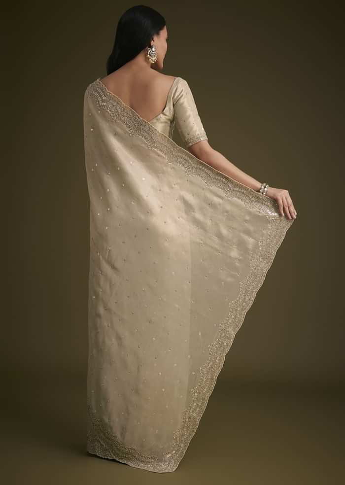 Silver Tissue Saree With Embroidered Border