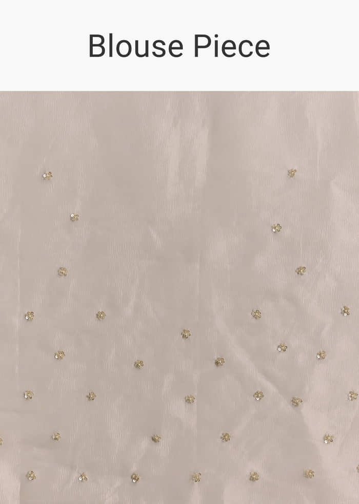 Silver Tissue Saree With Scallop Border And Sequins Work