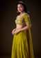 Mehendi Green Velvet Lehenga With Embellished Cross Body Blouse