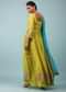 Warm Olive Green Embroidered Palazzo Suit In Chinon